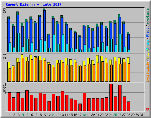 Raport Dzienny -  luty 2017