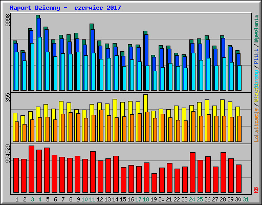 Raport Dzienny -  czerwiec 2017