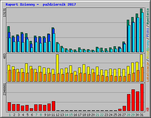 Raport Dzienny -  pa�dziernik 2017