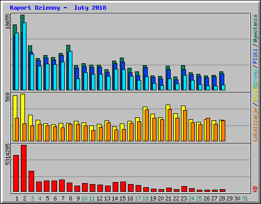Raport Dzienny -  luty 2018