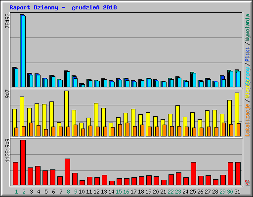 Raport Dzienny -  grudzie� 2018