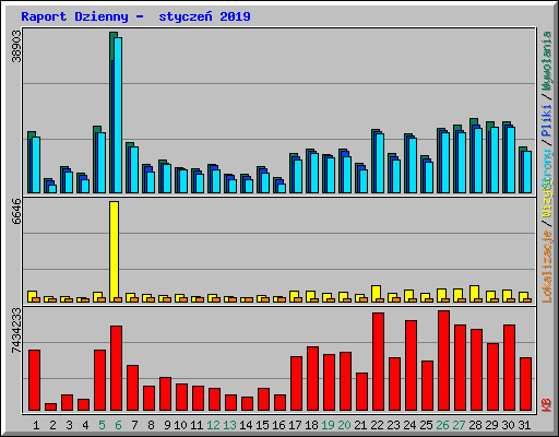Raport Dzienny -  stycze� 2019
