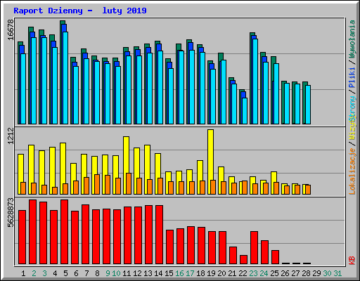 Raport Dzienny -  luty 2019