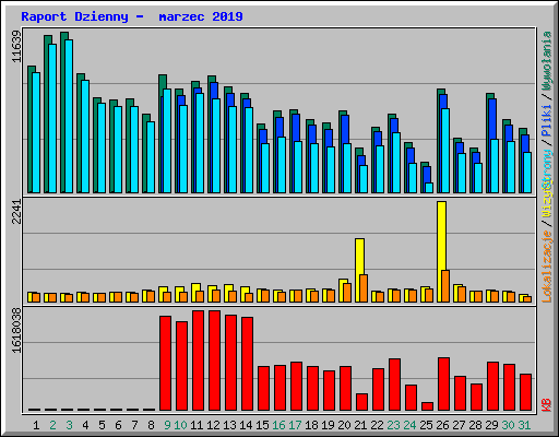 Raport Dzienny -  marzec 2019