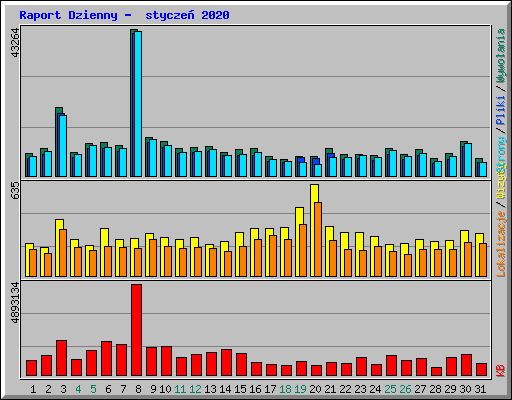 Raport Dzienny -  stycze� 2020