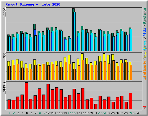 Raport Dzienny -  luty 2020