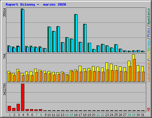 Raport Dzienny -  marzec 2020