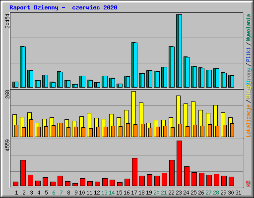 Raport Dzienny -  czerwiec 2020