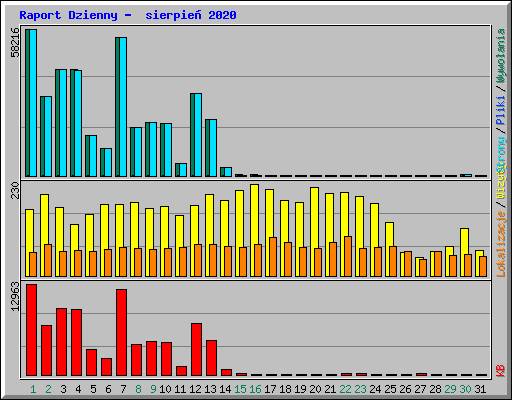 Raport Dzienny -  sierpie� 2020