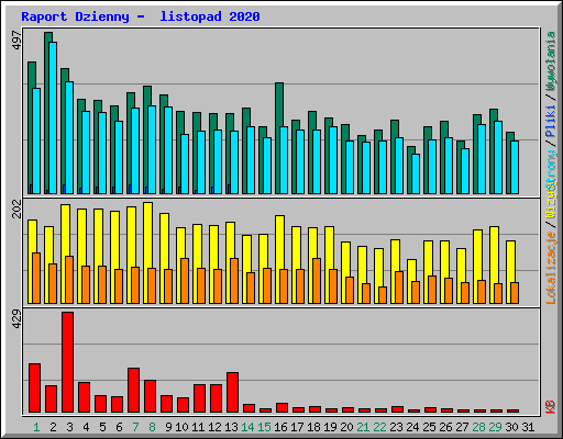 Raport Dzienny -  listopad 2020