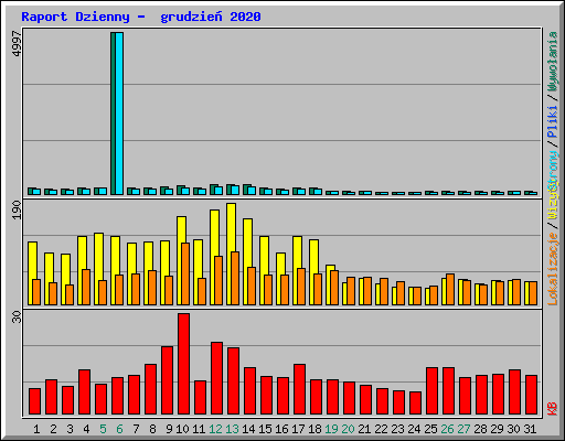 Raport Dzienny -  grudzie� 2020