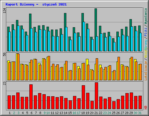 Raport Dzienny -  stycze� 2021