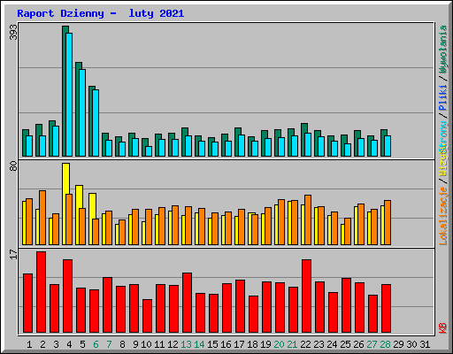Raport Dzienny -  luty 2021