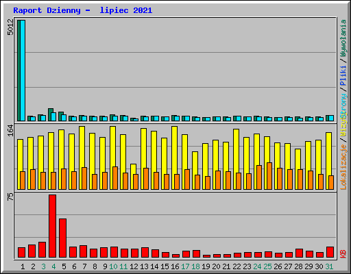 Raport Dzienny -  lipiec 2021