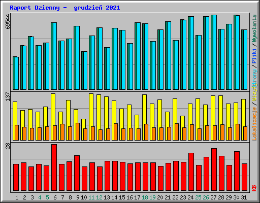 Raport Dzienny -  grudzie� 2021