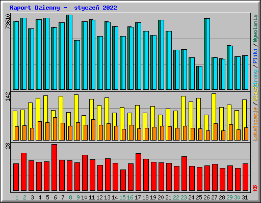 Raport Dzienny -  stycze� 2022