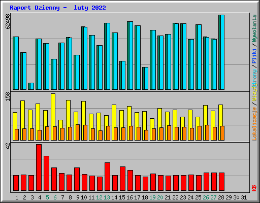 Raport Dzienny -  luty 2022