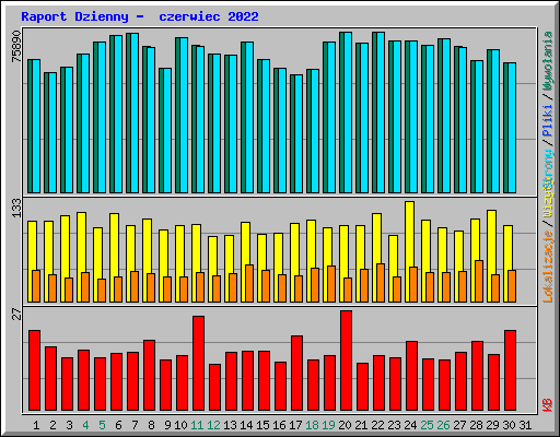 Raport Dzienny -  czerwiec 2022