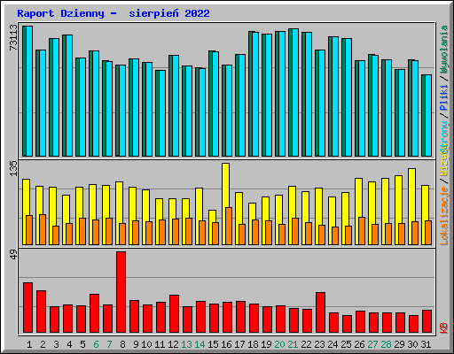 Raport Dzienny -  sierpie� 2022
