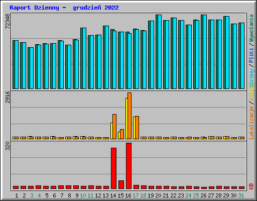 Raport Dzienny -  grudzie� 2022