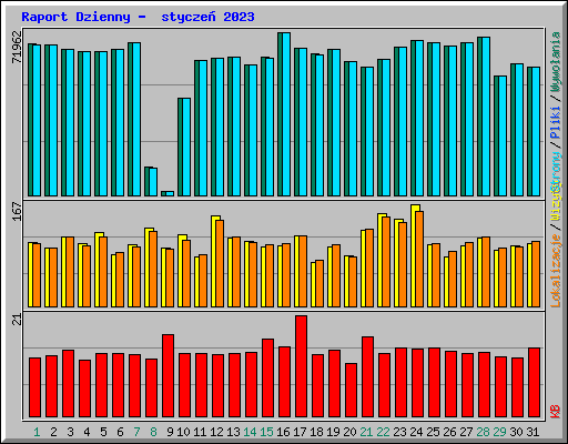 Raport Dzienny -  stycze� 2023