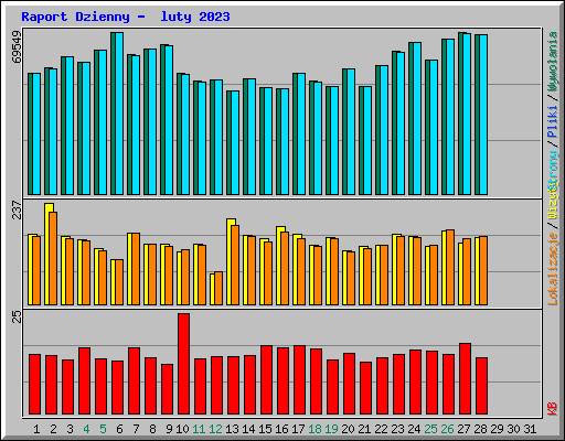 Raport Dzienny -  luty 2023