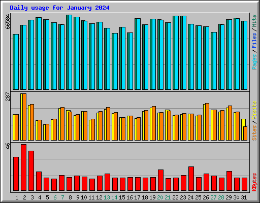Daily usage for January 2024