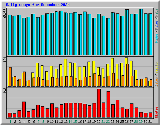 Daily usage for December 2024