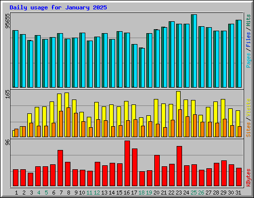 Daily usage for January 2025