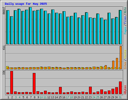 Daily usage for May 2025