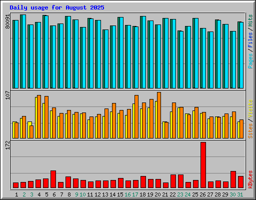 Daily usage for August 2025