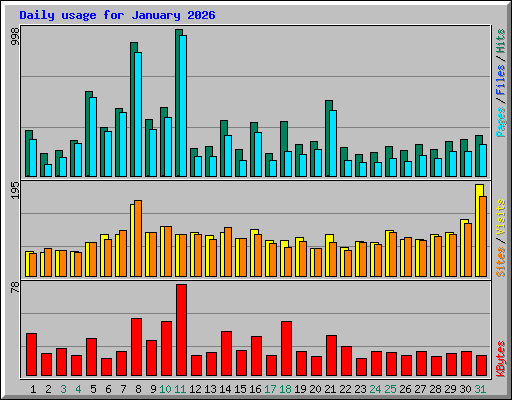 Daily usage for January 2026