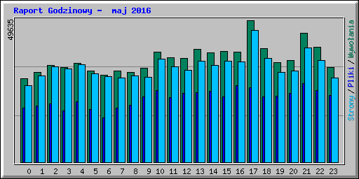 Raport Godzinowy -  maj 2016