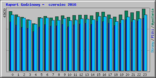 Raport Godzinowy -  czerwiec 2016