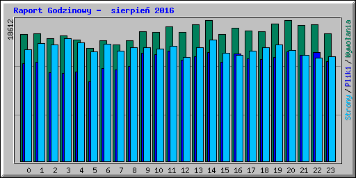 Raport Godzinowy -  sierpie� 2016