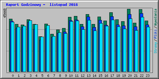 Raport Godzinowy -  listopad 2016