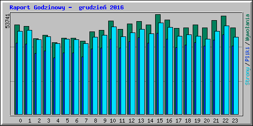 Raport Godzinowy -  grudzie� 2016