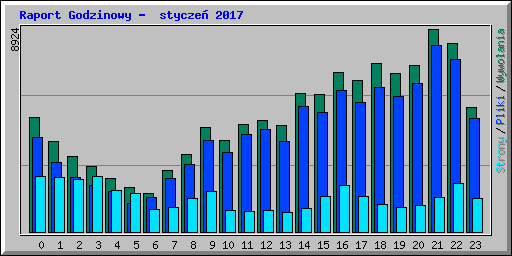Raport Godzinowy -  stycze� 2017