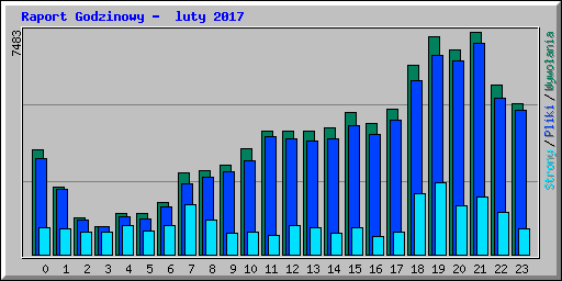 Raport Godzinowy -  luty 2017