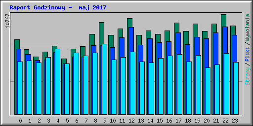 Raport Godzinowy -  maj 2017