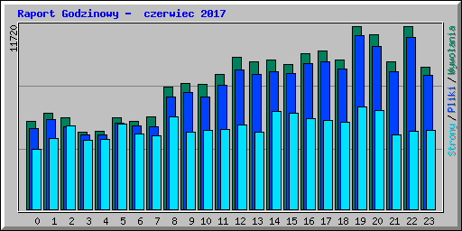 Raport Godzinowy -  czerwiec 2017