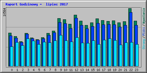 Raport Godzinowy -  lipiec 2017