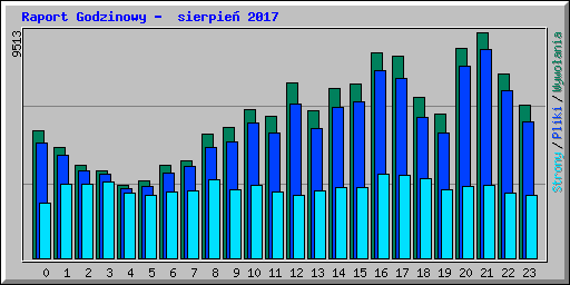 Raport Godzinowy -  sierpie� 2017