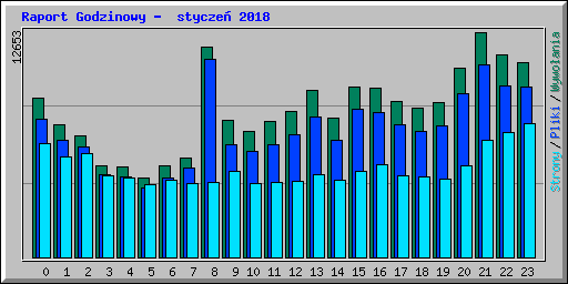 Raport Godzinowy -  stycze� 2018