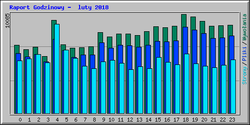 Raport Godzinowy -  luty 2018