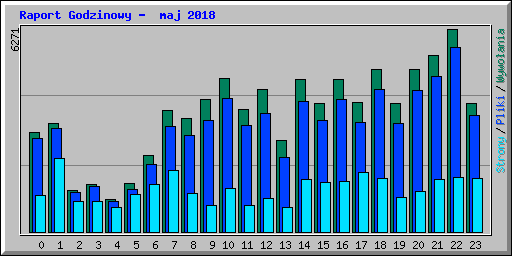 Raport Godzinowy -  maj 2018