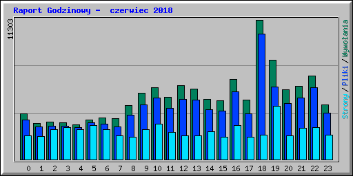 Raport Godzinowy -  czerwiec 2018