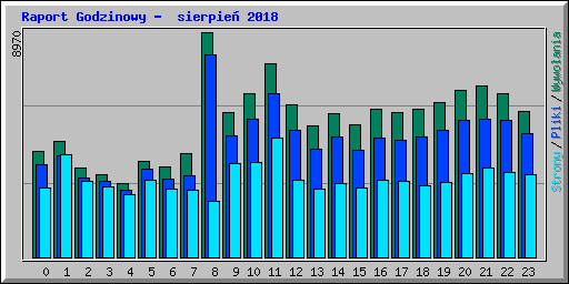 Raport Godzinowy -  sierpie� 2018