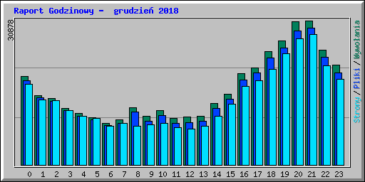 Raport Godzinowy -  grudzie� 2018