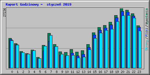Raport Godzinowy -  stycze� 2019